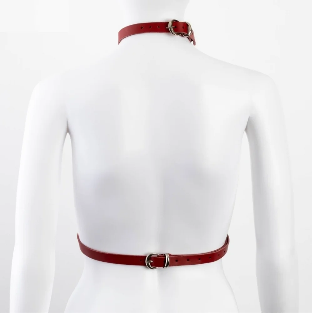 Red Leather Harness - Picture 2 of 6